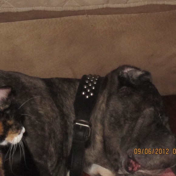 Meet your Posher, Sharp - Picture 1 of 1